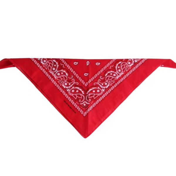 Bandana - Image 2