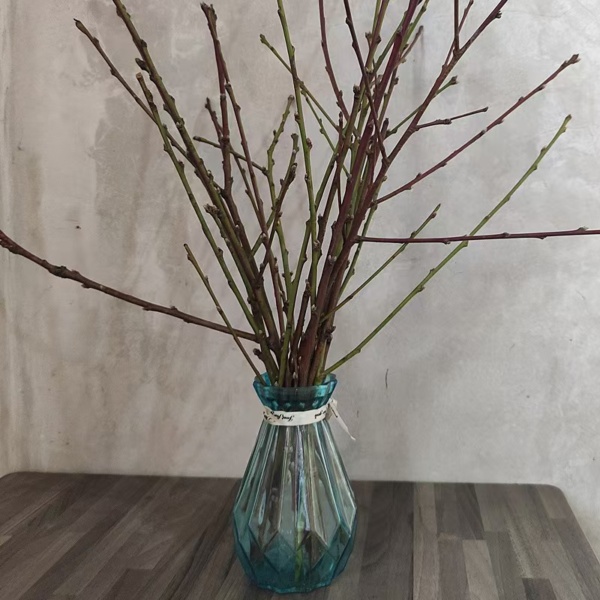 10pcs Pussy Willow Decor