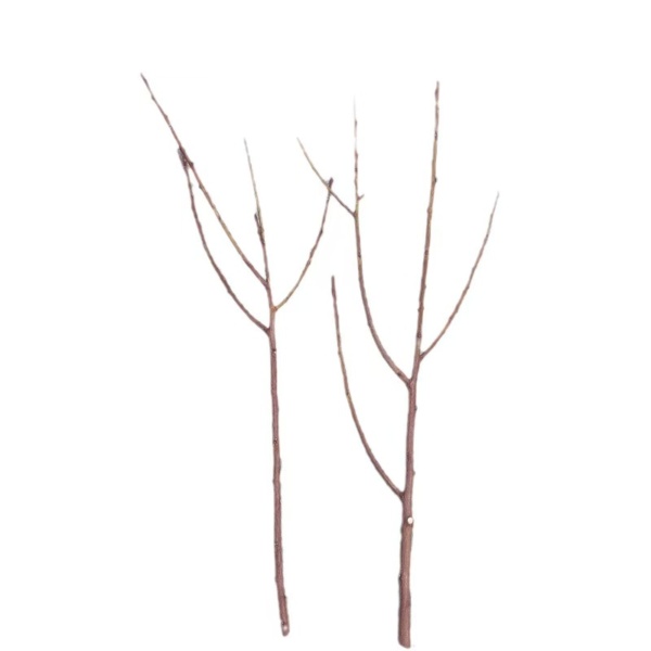 10pcs Pussy Willow Decor - Image 2