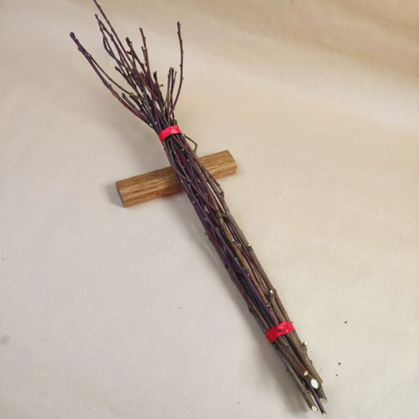 10pcs Pussy Willow Decor - Image 6