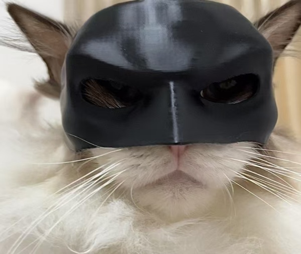 Batman Mask for Cats