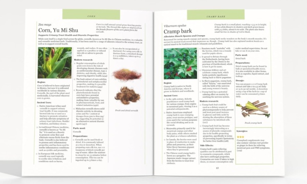 Ancient Remedies Revived Book - Image 3