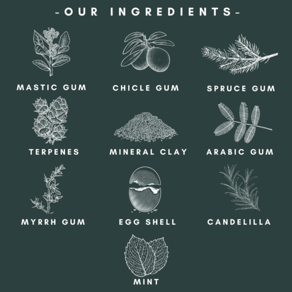 OFFICIAL Nathan & Sons - Underbrush Gum - Image 5